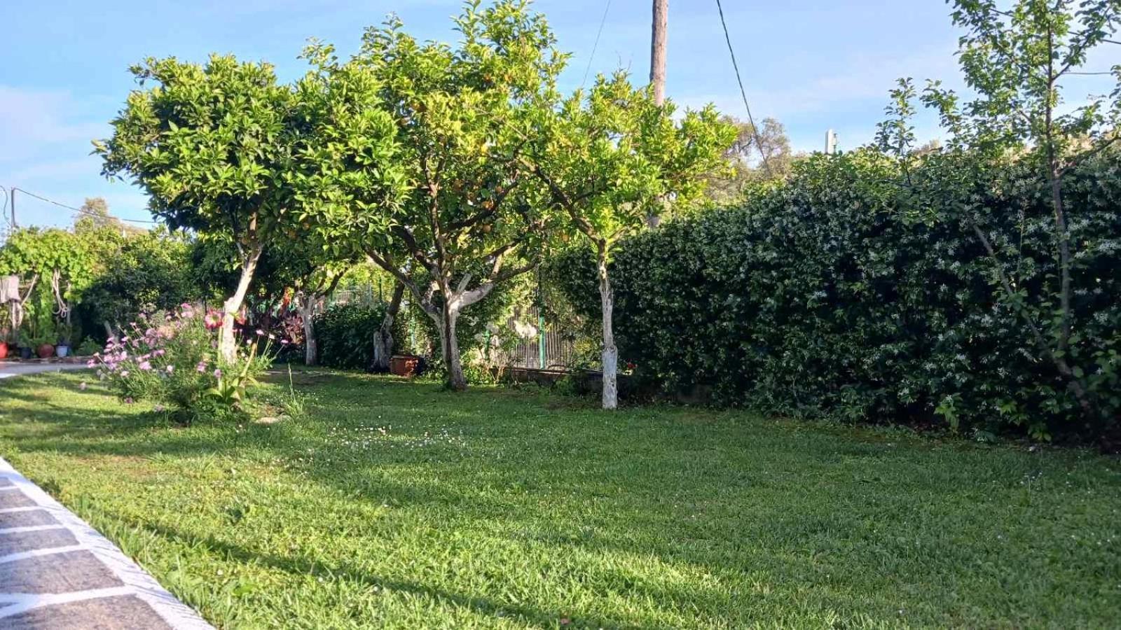 Villa Ioannidis Parga Ngoại thất bức ảnh