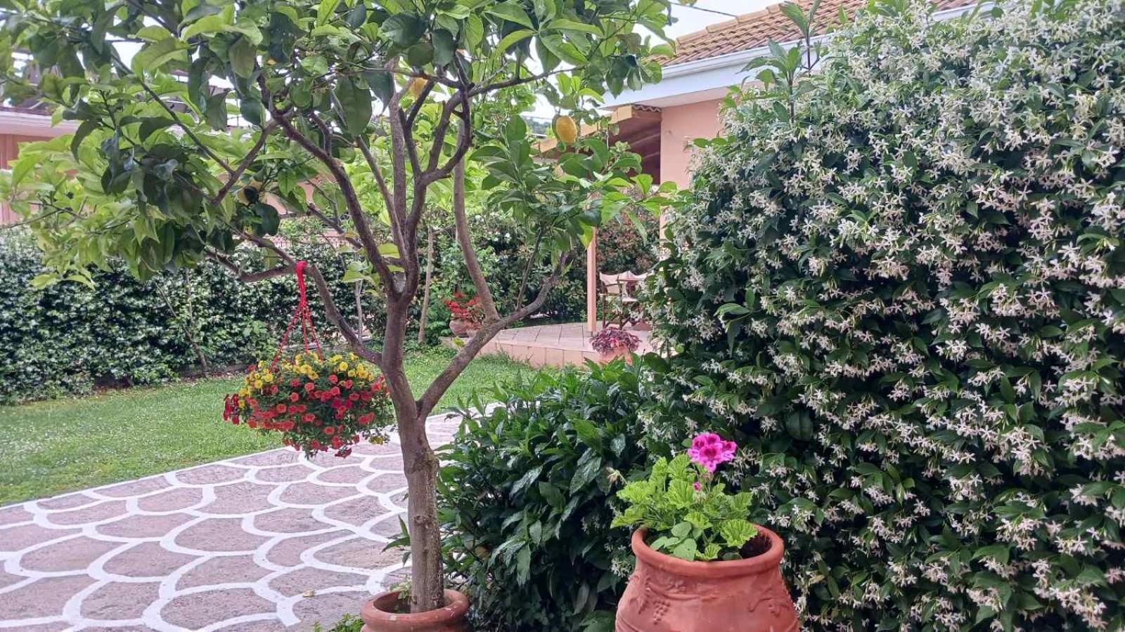 Villa Ioannidis Parga Ngoại thất bức ảnh